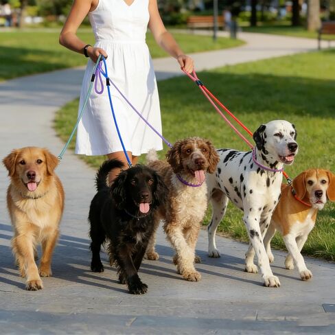 12 Pcs Premium No-Pull Dog Slip Leads 4.9ft Adjustable, Pastel Hues Easy On/Off, No Collar Needed, Vibrant for Small/Medium Dogs for Walking/Training, 6 Colors in Kuwait