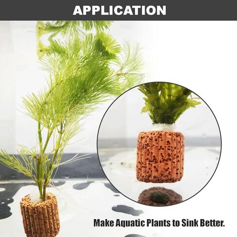 10PCS Plant Securing Ring 25mm Ceramic Cultivation Ring Base Suitable for Fish Tank and Aquarium Landscaping in Kuwait