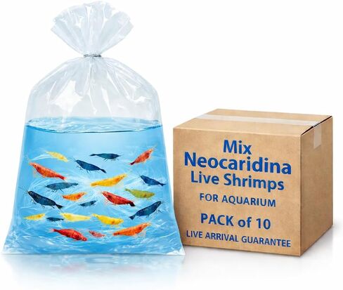 10+ جمبري كرز أحمر ناري عالي الجودة نيوكاريدينا لايف روبيان المياه العذبة حوض السمك يعكس عالي الجودة كرز نيوكاريدينا لايف يصل إلى Gurrentee in Kuwait