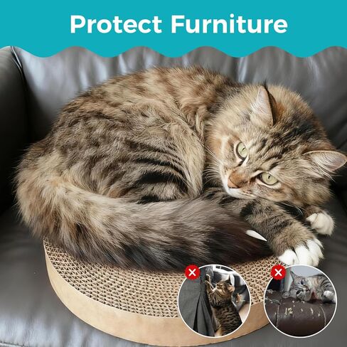 2Pcs Round Cat Scratcher Refill, 10 Inch Diameter Cardboard Cat Scratching Board Circle Replacement Pads for Indoor Cat Toy in Kuwait