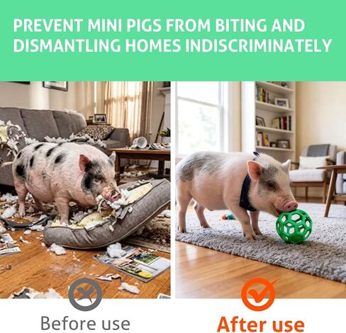 2 Pcs Toys for Pigs, Treat Ball Toy for Mini Pigs, Mini Pig Enrichment Toy Suitable for Farms, Pig Chew Feed Ball with Hanging Rope Suitable for Indoor and Outdoor Use to Play with in Kuwait