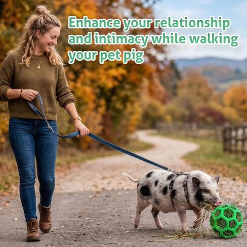 2 Pcs Toys for Pigs, Treat Ball Toy for Mini Pigs, Mini Pig Enrichment Toy Suitable for Farms, Pig Chew Feed Ball with Hanging Rope Suitable for Indoor and Outdoor Use to Play with in Kuwait