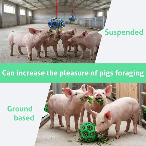 2 Pcs Toys for Pigs, Treat Ball Toy for Mini Pigs, Mini Pig Enrichment Toy Suitable for Farms, Pig Chew Feed Ball with Hanging Rope Suitable for Indoor and Outdoor Use to Play with in Kuwait