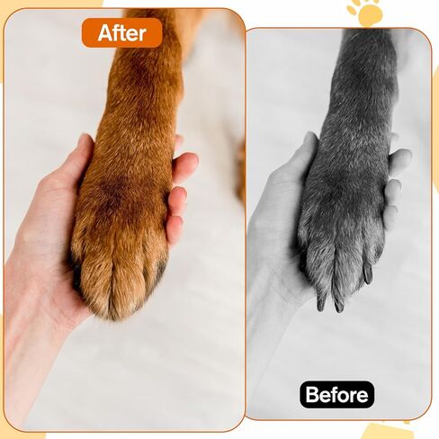 Dog Nail File Dog Scratch Pad Board Safe Easy Cat Nail Tool Smooth Healthy Stress Free Pet File with 6 Pcs Replaceable Sandpaper Filing Disc in Kuwait
