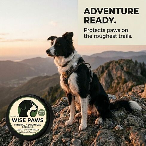 Advanced Formula Dog Paw Balm for Hot Pavement, Grass & Rough Terrain – Zeolite Powder Pawtection for Burnt, Irritated, Dry Cracked Paws – Natural Paw Care with Immortelle – Wooden Applicator – 1.7 oz in Kuwait
