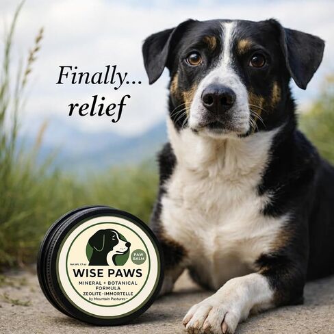 Advanced Formula Dog Paw Balm for Hot Pavement, Grass & Rough Terrain – Zeolite Powder Pawtection for Burnt, Irritated, Dry Cracked Paws – Natural Paw Care with Immortelle – Wooden Applicator – 1.7 oz in Kuwait