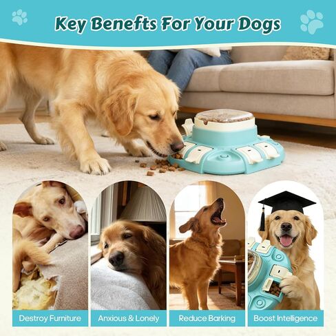 2 Levels Dog Puzzle Toy, Slow Feeder for Fast Eating Pets Interactive Dog Treat Puzzle Toys for IQ Training, Treat Dispenser for Small Medium Large Dogs, Cats in Kuwait