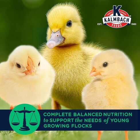 Kalmbach Feeds 20% Flock Maker Crumbles for Mixed Flocks of Poultry, 50 lb in Kuwait