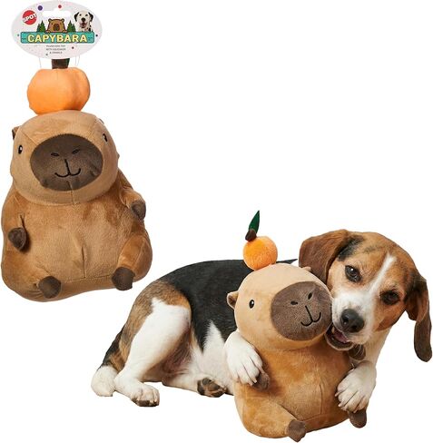 SPOT Capybara with Taco Plush Dog Toy, Soft Stuffed Squeaky & Crinkle Toy for Calm and Gentle Play, Adorable Capybara, for Light Chewers and Small Dogs, 8 Inch in Kuwait