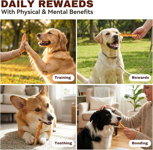 PETPHABET Chicken Wrapped Cod Sticks Dog Treats - 5 Inch Healthy Jerky Rawhide Free Dog Chews, Soft Puppy Training Snacks for Small, Medium, Large Dogs, Rich in Omega-3, High Protein & Low Fat, 14oz in Kuwait