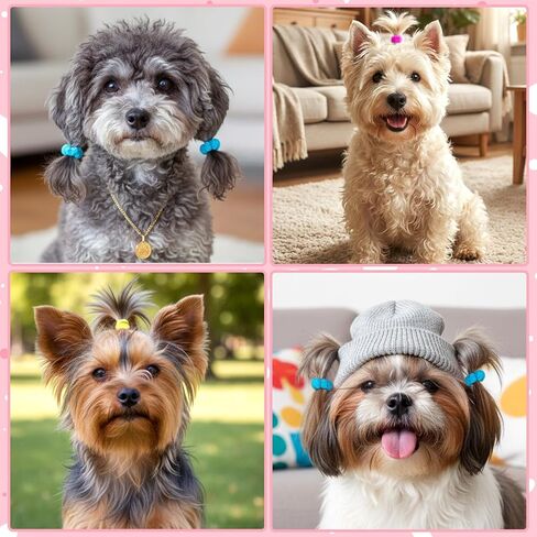 Xinjoduz 200PCS 0.8inch Dog Hair Ties Scrunchies Small Candy Color Hair Rings Bands Cute Comfortable Mini Elastic Puppy Accessories for Cats Yorkshire Doggy Maltese Dogs Pet Grooming, No Damage Hairs in Kuwait