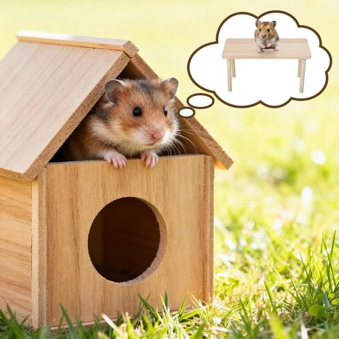 Wooden Hamster Platform, Hamster Play Wooden Platform Wood Stand Hamsters Cage Accessory for Hamsters Other Small Pets in Kuwait