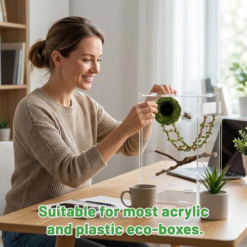 إكسسوارات العنكبوت القفز، غطاء العنكبوت القفز وديكور حاوية العنكبوت القفز، مخبأ الطحلب الطبيعي المصنوع يدويًا ومجموعة جسر حبل القنب، ديكورات تررم لعشاق الطبيعة البالغين in Kuwait