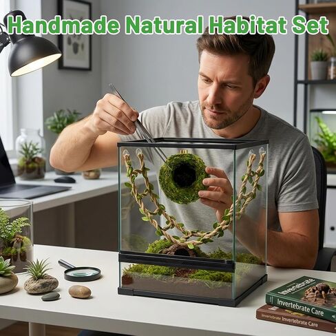 إكسسوارات العنكبوت القفز، غطاء العنكبوت القفز وديكور حاوية العنكبوت القفز، مخبأ الطحلب الطبيعي المصنوع يدويًا ومجموعة جسر حبل القنب، ديكورات تررم لعشاق الطبيعة البالغين in Kuwait