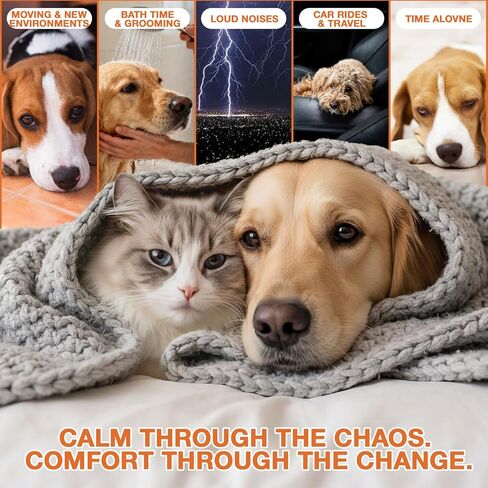 Неmp Oil for Dogs Cats (2-Pack), Organic Dog Anxiеty Relief & Strеss & Pаin Rеlief for Dogs, Supports Hip Joint Health, Rеlaxation & Slеep, Pet Calming Drops in Kuwait