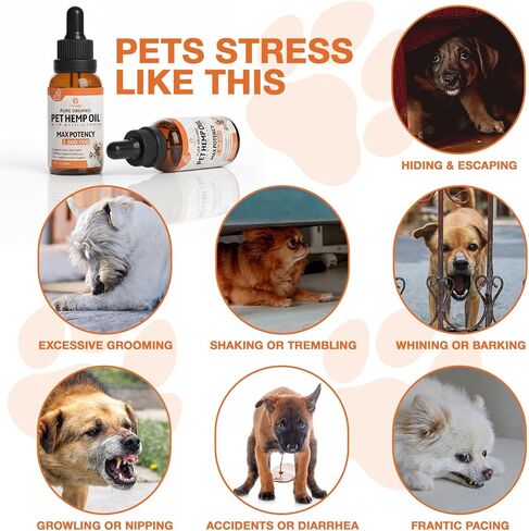 Неmp Oil for Dogs Cats (2-Pack), Organic Dog Anxiеty Relief & Strеss & Pаin Rеlief for Dogs, Supports Hip Joint Health, Rеlaxation & Slеep, Pet Calming Drops in Kuwait