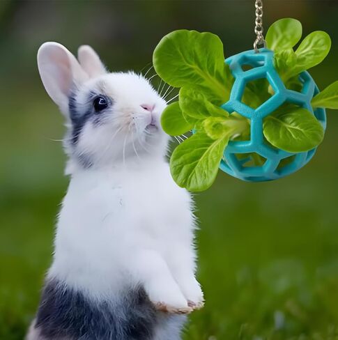 Rabbit Treat Ball, Bunny Enrichment Toy with Stainless Steel Hanger Set, Veggie Feeding Rabbit Ball Toy to Slow Feeder for Bunny, Guinea Pig, Hedgehog, Squirrel, Tortoise in Saudi Arabia