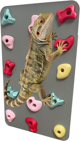 3D Reptile Climbing Wall, Natural Textured Habitat Decor for Bearded Dragons, Leopard Geckos, Lizards, Snakes, Frogs & Amphibians – Terrarium & Paludarium Tank Accessories in Kuwait