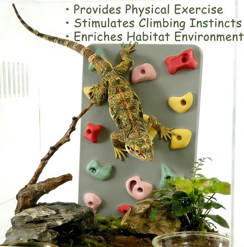 3D Reptile Climbing Wall, Natural Textured Habitat Decor for Bearded Dragons, Leopard Geckos, Lizards, Snakes, Frogs & Amphibians – Terrarium & Paludarium Tank Accessories in Kuwait