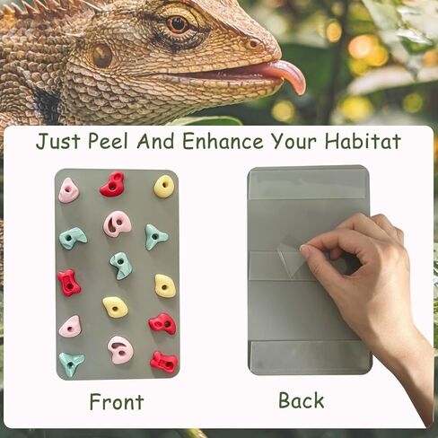3D Reptile Climbing Wall, Natural Textured Habitat Decor for Bearded Dragons, Leopard Geckos, Lizards, Snakes, Frogs & Amphibians – Terrarium & Paludarium Tank Accessories in Kuwait