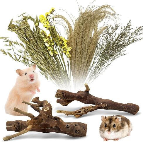 2Pcs Hamster Climbing Branches Decor 7.8in Rat Tree Logs Toy Wooden Gerbil Habitat Ornament Small Animal Cage Accessories with 31Pcs Natural Flower Hamster Mate Herbs in Kuwait
