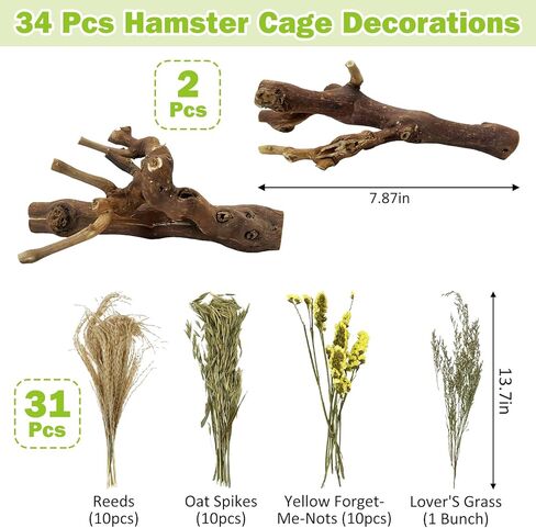 2Pcs Hamster Climbing Branches Decor 7.8in Rat Tree Logs Toy Wooden Gerbil Habitat Ornament Small Animal Cage Accessories with 31Pcs Natural Flower Hamster Mate Herbs in Kuwait