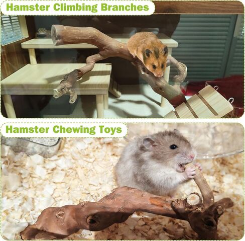 2Pcs Hamster Climbing Branches Decor 7.8in Rat Tree Logs Toy Wooden Gerbil Habitat Ornament Small Animal Cage Accessories with 31Pcs Natural Flower Hamster Mate Herbs in Kuwait