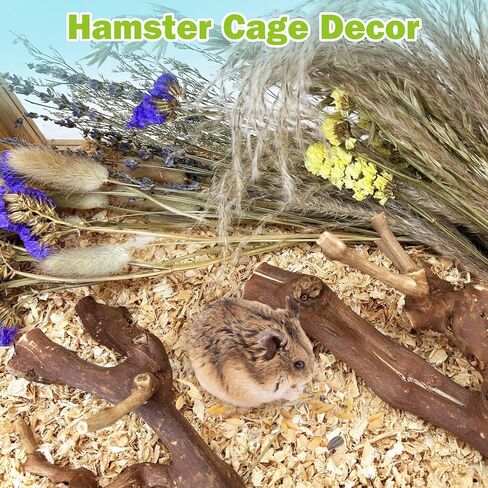 2Pcs Hamster Climbing Branches Decor 7.8in Rat Tree Logs Toy Wooden Gerbil Habitat Ornament Small Animal Cage Accessories with 31Pcs Natural Flower Hamster Mate Herbs in Kuwait