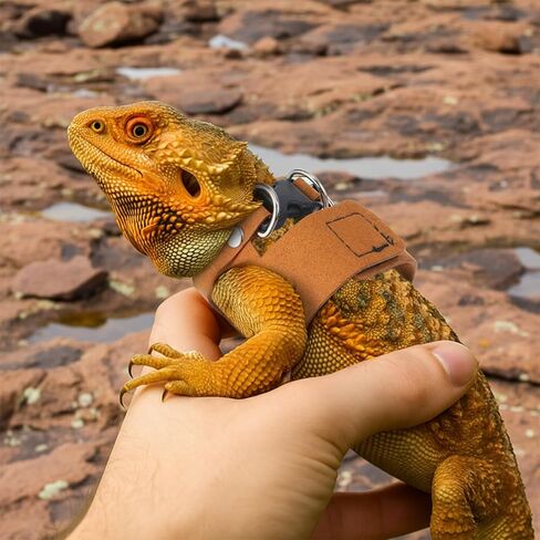 4 PCS Harness and Leash Set, Adjustable Soft Leather Bearded Dragon Leash and Harness Set for Small Animals, Reptiles, Squirrels, Rats (Brown, Black, Silver) in Kuwait