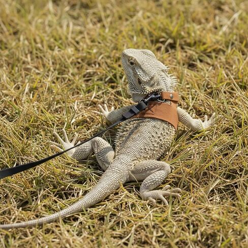 4 PCS Harness and Leash Set, Adjustable Soft Leather Bearded Dragon Leash and Harness Set for Small Animals, Reptiles, Squirrels, Rats (Brown, Black, Silver) in Kuwait