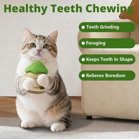 Catnip Toys, Catnip Toys for Cats, Tree-Shaped Cat Interactive Toy, Cat Toy for Bored Indoor Adult Cats, Suitable for Felines in Kuwait