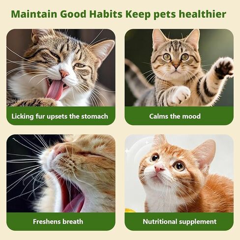 Catnip Toys, Catnip Toys for Cats, Tree-Shaped Cat Interactive Toy, Cat Toy for Bored Indoor Adult Cats, Suitable for Felines in Kuwait
