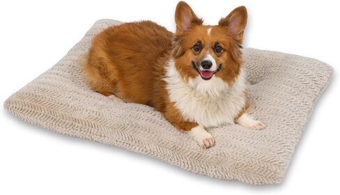 Best Friends by Sheri Comfy Crate Sleeper Mat - سرير كلب فخم منخفض الوبر، مقاس 91.44 سم × 60.96 سم، صناديق كبيرة وكبيرة جدًا، يصل وزنها إلى 70 رطلًا، يمكن غسلها في الغسالة، نمط متعرج، أويستر in Kuwait