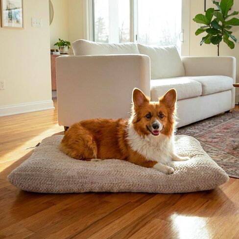 Best Friends by Sheri Comfy Crate Sleeper Mat - سرير كلب فخم منخفض الوبر، مقاس 91.44 سم × 60.96 سم، صناديق كبيرة وكبيرة جدًا، يصل وزنها إلى 70 رطلًا، يمكن غسلها في الغسالة، نمط متعرج، أويستر in Kuwait