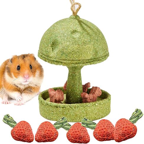 Hamiledyi Guinea Pig Chew Toys Rabbit Chew Toys for Teeth Natural Hamster Treats Prevent Teeth Overgrowth for Syrian Hamsters Gerbils Rat Bunny Chinchilla Small Animals in Kuwait