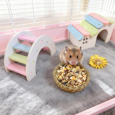 Hamster Chew Toys Guinea Pig Treats Hamster Stuff Timothy Bowl Cage Accessories for Chinchilla Guinea Pig Rat (4PCS) in Kuwait