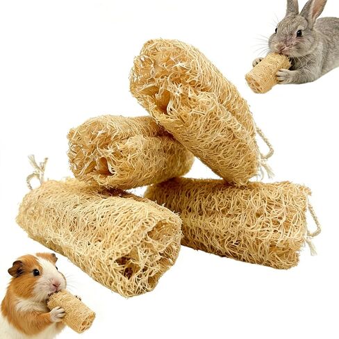 4 PCS Rabbit Chew Toys Natural Loofah Guinea Pig Treats Bunny Stuff Cage Accessories for Chinchillas Guinea Pig Rabbits (4PCS with a Rope) in Kuwait