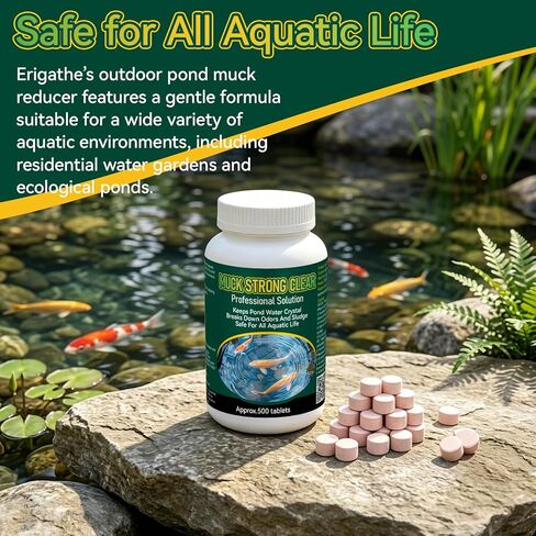 Muck Reducer – Professional for Fish Ponds, Fountains, Bird Baths and Water Gardens, Easy, Gentle and Highly Effective, 500 Tablets in Kuwait