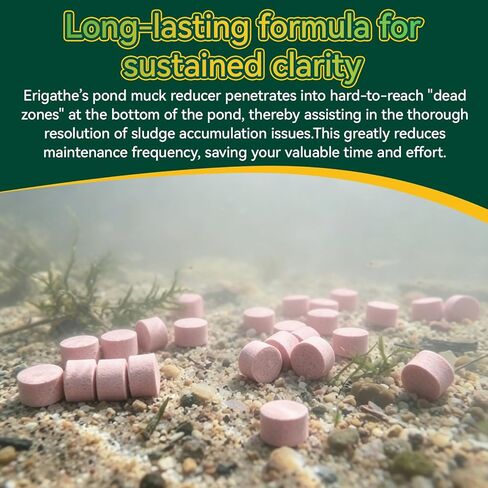 Muck Reducer – Professional for Fish Ponds, Fountains, Bird Baths and Water Gardens, Easy, Gentle and Highly Effective, 500 Tablets in Kuwait