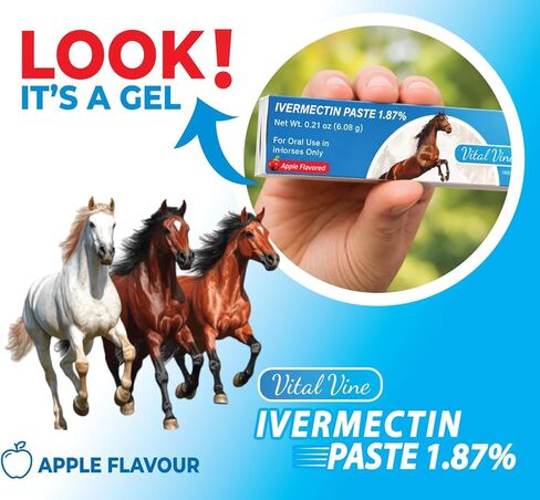 معجون فيتالفين ايفرمكتين 1.87% للخيول - حقنة بنكهة التفاح 6.08 جرام، يعالج الخيول التي يصل وزنها إلى 1250 رطل (6 عبوات) in Kuwait