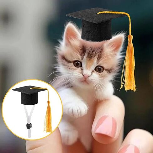 Mini Graduation Caps with Tassel,4pcs Small Animal Bachelor Hats for Small Cat Dog Guinea Pigs Hedgehog Hamster Graduation Party Photo Props in Kuwait