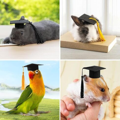 Mini Graduation Caps with Tassel,4pcs Small Animal Bachelor Hats for Small Cat Dog Guinea Pigs Hedgehog Hamster Graduation Party Photo Props in Kuwait
