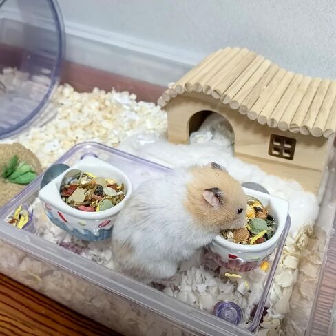 2 PCS Ceramic Hamster Food Bowl Hamster Food Water Dish Feeder Cage Accessories for Mice Rats Hedgehog Gerbil in Kuwait