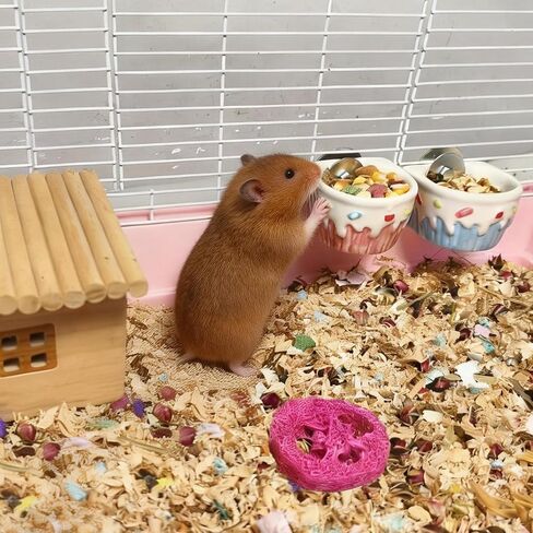 2 PCS Ceramic Hamster Food Bowl Hamster Food Water Dish Feeder Cage Accessories for Mice Rats Hedgehog Gerbil in Kuwait