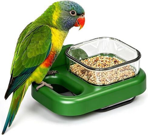 Bird cage Feeder,Bird cage Food Bowls,Parrot Feeder,Bird Feeding,Dish Water Cups,Stand Hanging Parakeet Food Container,Bird Food Bowl for cage,Food and Water Bowls,for Birds or Budgie Parrot in Kuwait