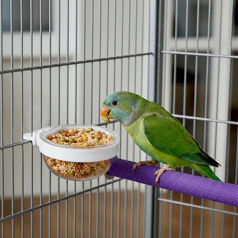 4 Pack Bird Cage Feeder and Water Dispenser with Perch, Clear Water Bowl and Food Container Feeding Drinking Bowl Seed Container Dishes Parrot Feeder Bowls with Clamp Holder in Kuwait