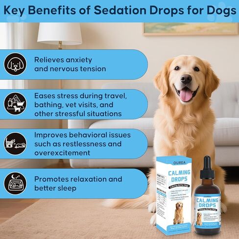 Calming Drops for Dogs with Melatonin – Helps Support Relaxation During Nail Trimming, Grooming, Travel, Vet Visits, Thunder & Fireworks – Natural Soothing Liquid Supplement in Kuwait