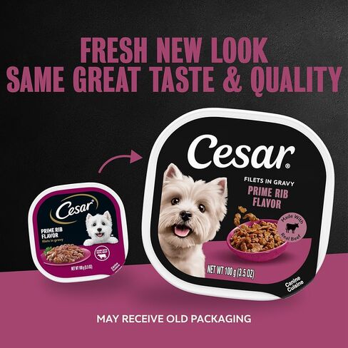 Cesar Filets in Gravy Adult Wet Dog Food Prime Rib Flavor, 3.5 oz. Easy Peel Dog Food Tray in Kuwait