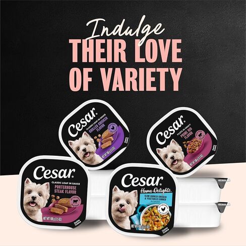 Cesar Filets in Gravy Adult Wet Dog Food Prime Rib Flavor, 3.5 oz. Easy Peel Dog Food Tray in Kuwait
