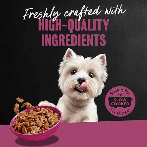 Cesar Filets in Gravy Adult Wet Dog Food Prime Rib Flavor, 3.5 oz. Easy Peel Dog Food Tray in Kuwait